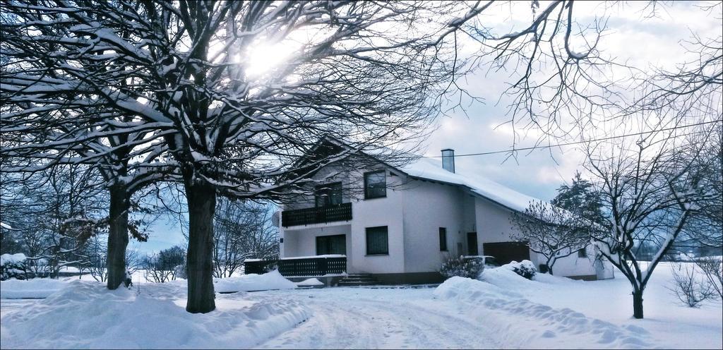 Apartment Lipa イリノヴァク 部屋 写真
