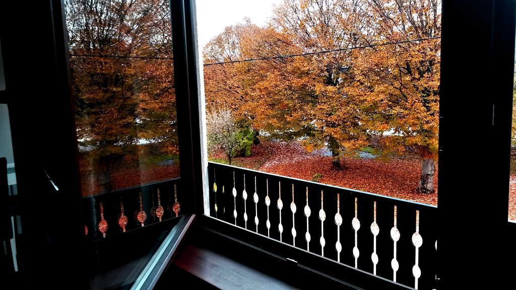 Apartment Lipa イリノヴァク 部屋 写真